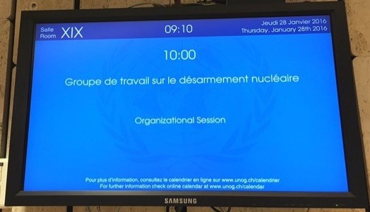 The informal session of the OEWG met in Room XIX at the Palais des Nations